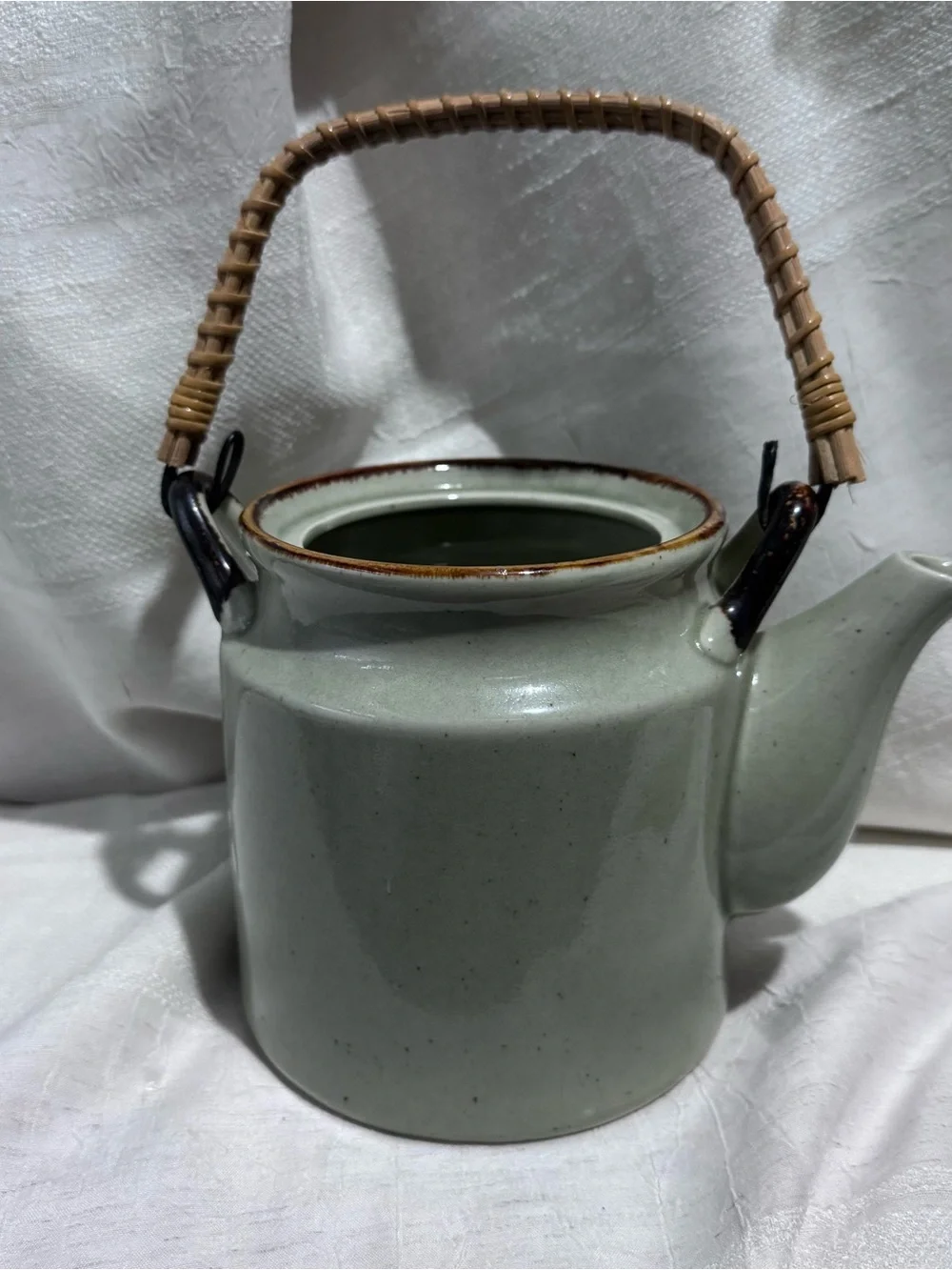 Vintage Japanese Stoneware Teapot Bamboo Handle Hand Painted Bamboo Motif